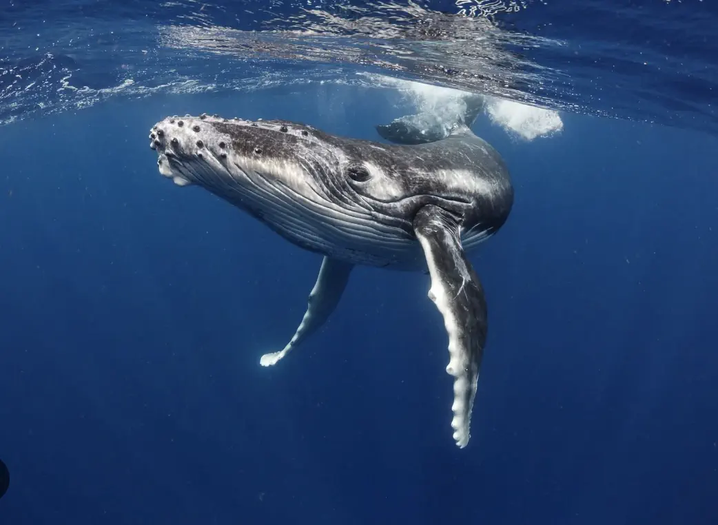 Beach in Samara Costa Rica