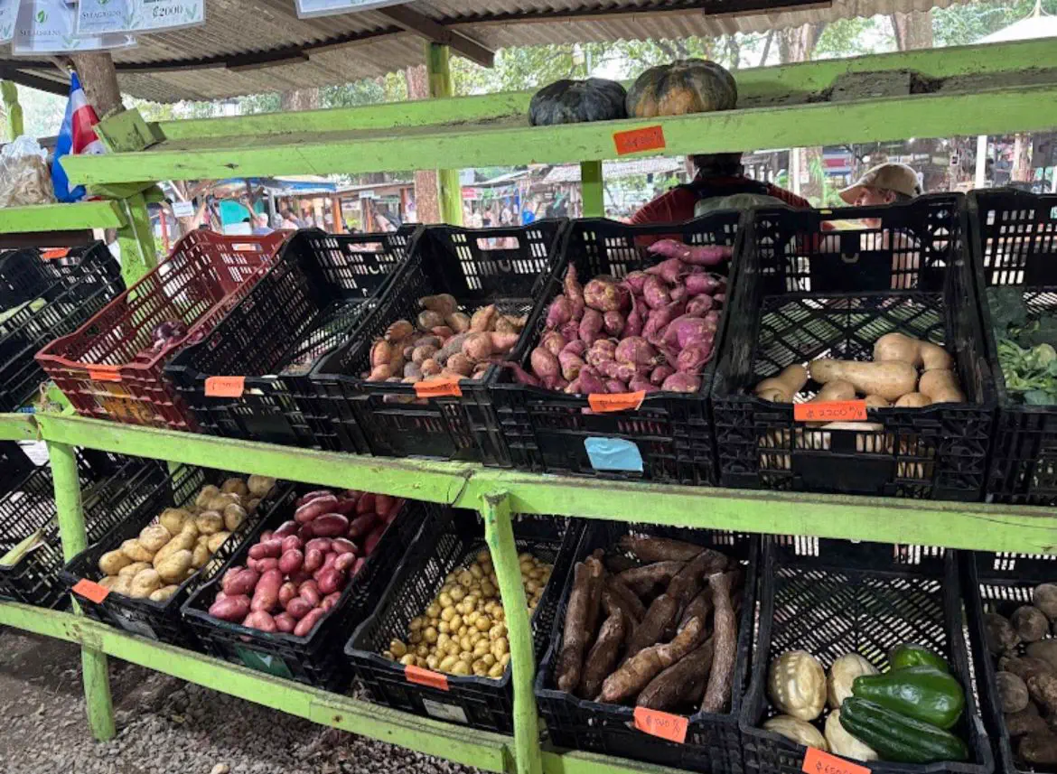 Beach in Samara Costa Rica